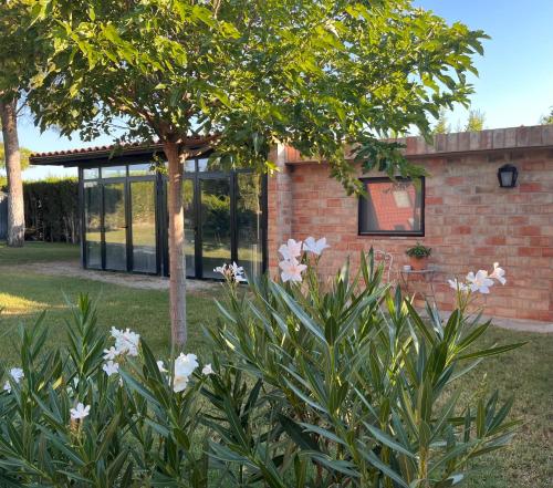 Las Casitas Del Gallego pet-friendly hotel Zuera