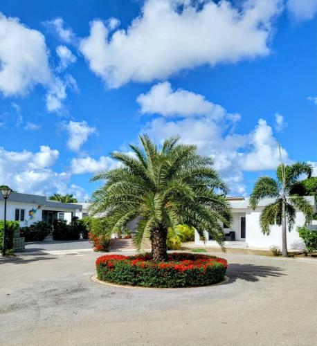 Winstonvalley Resort in Willemstad, CURAÇAO