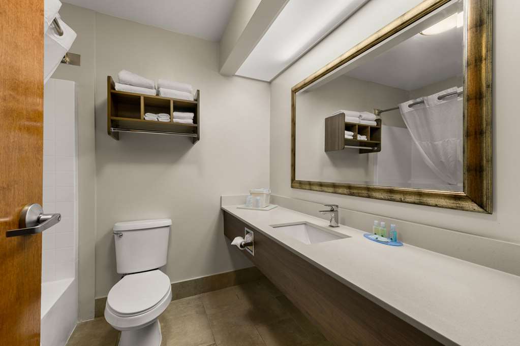 Quality Inn & Suites Matthews Charlotte - photo 39
