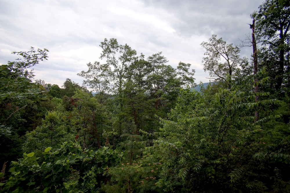Belvedere - photo 41