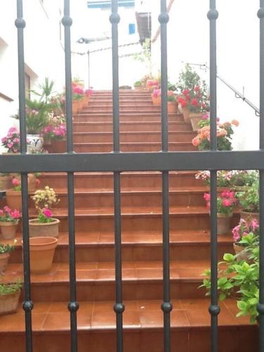 La Casita — hotel in Banos De La Encina