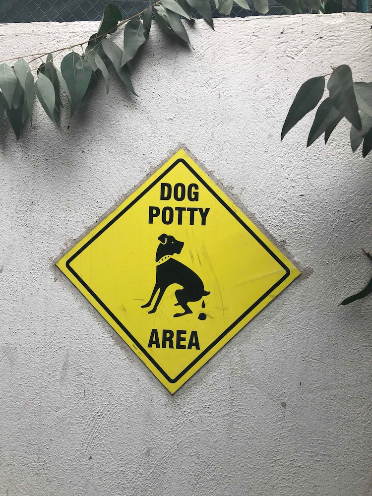Pet-friendly