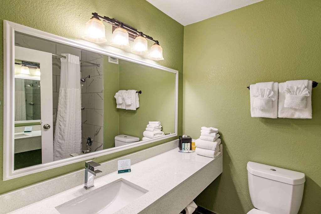 Quality Inn & Suites Plano East Richardson - photo 4