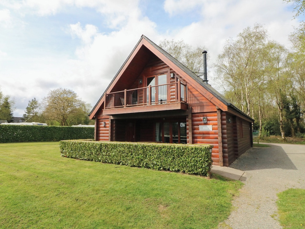 Pine in Winkleigh, United Kingdom