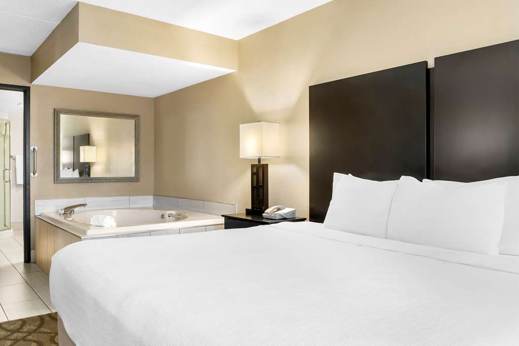 Best Western Okemos East Lansing Hotel & Suites - photo 34