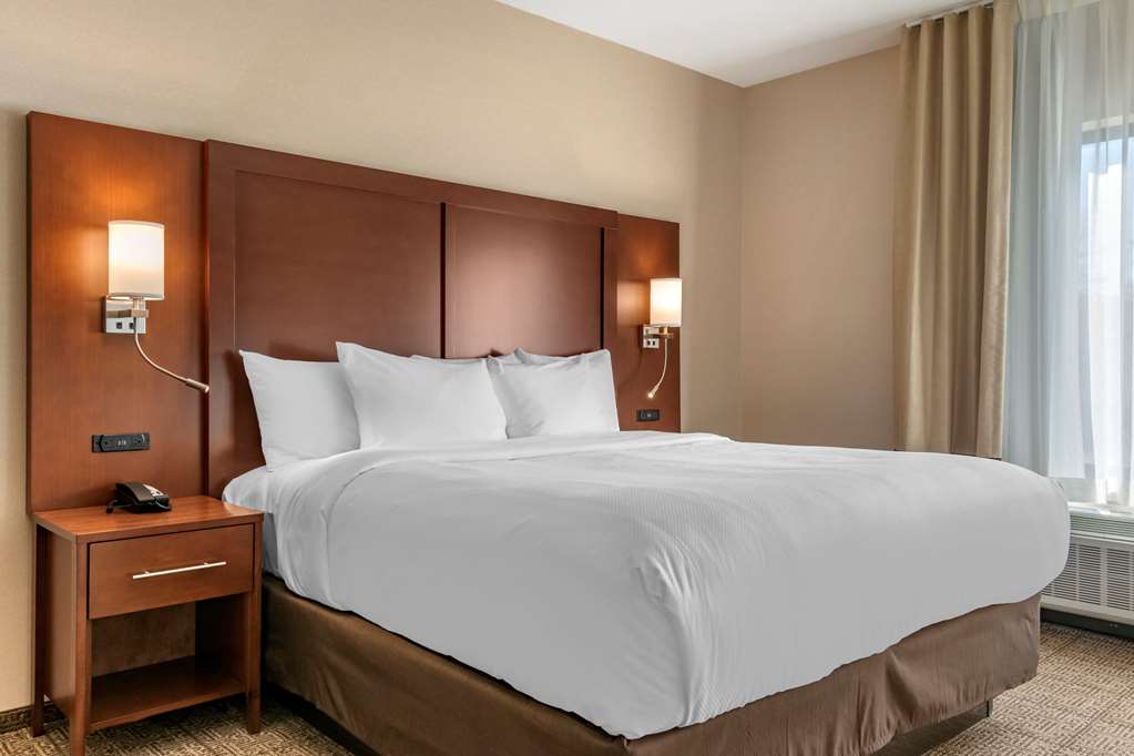Comfort Suites Camp Hill Harrisburg West - photo 11