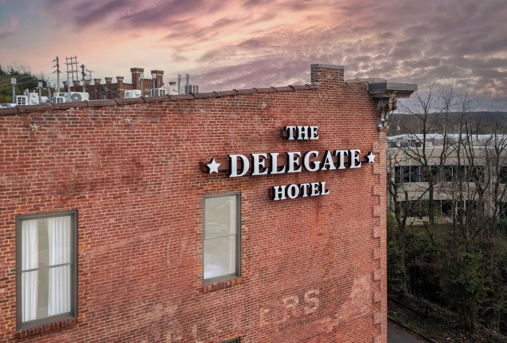 The Delegate - photo 83