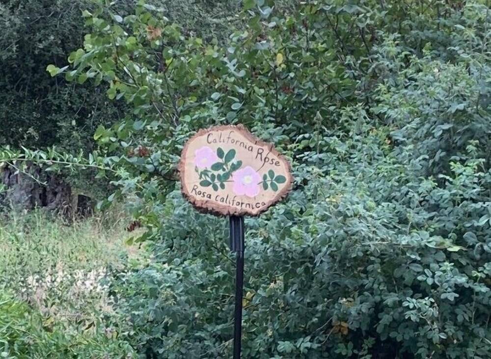 Bird Watcher Inn - photo 73
