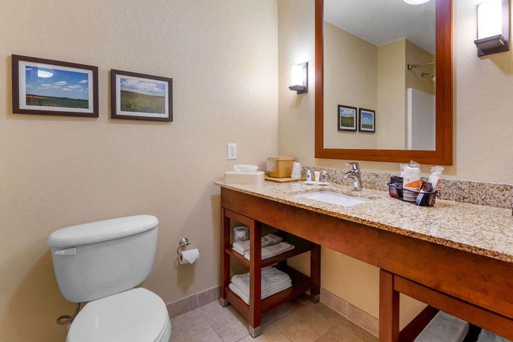 Comfort Suites Burlington - photo 23