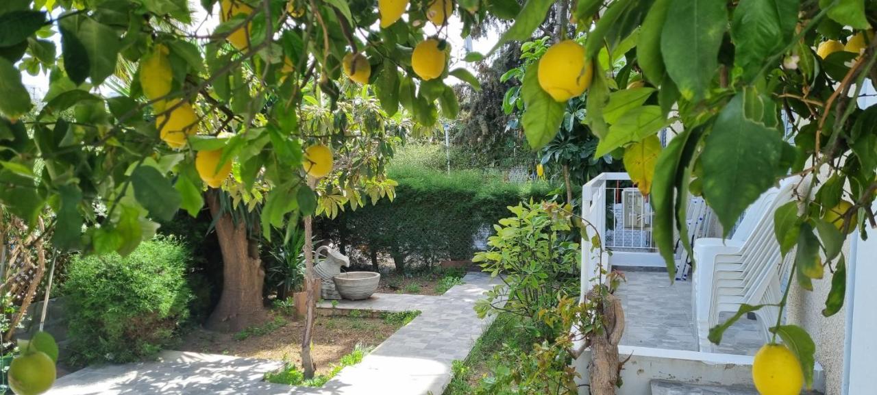 Elpida Lemon Garden House — 4-Star Luxury Hotel in Limassol, Cyprus