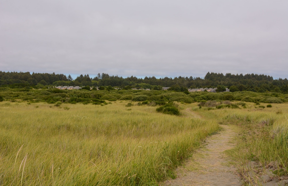 Surfcrest Resort - photo 63