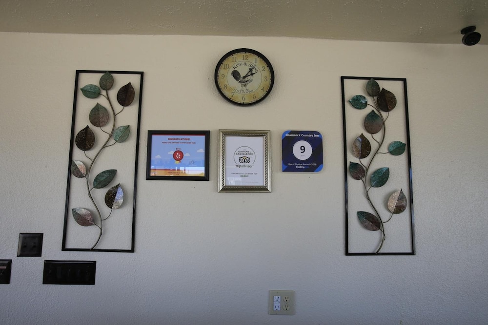 Shamrock Country Inn - photo 44