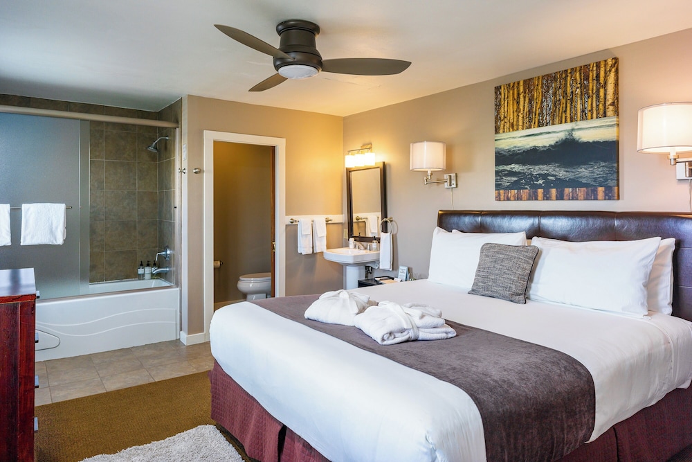 Bird Rock Hotel - photo 26