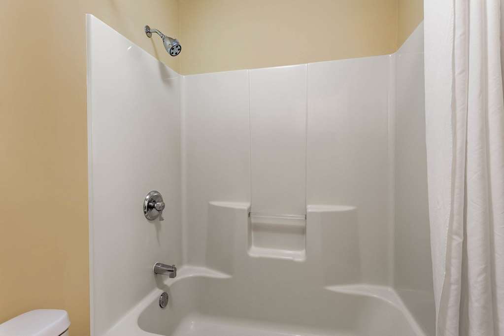 Baymont by Wyndham Easley Greenville - photo 23