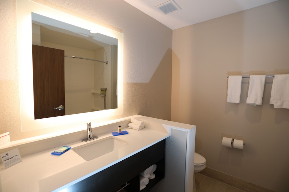 Holiday Inn Express & Suites Forney by IHG - photo 15