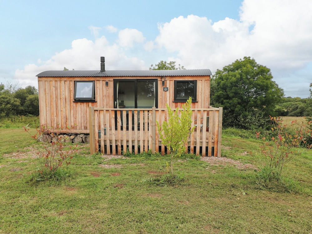 The Bumblebee in Pembroke, United Kingdom