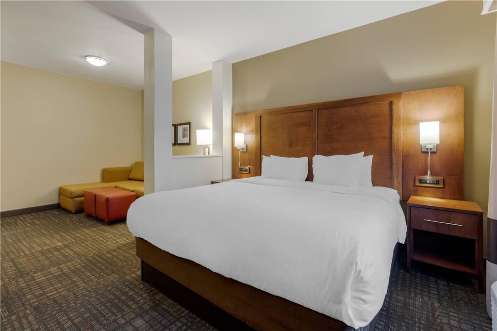 Comfort Suites Loveland - photo 20