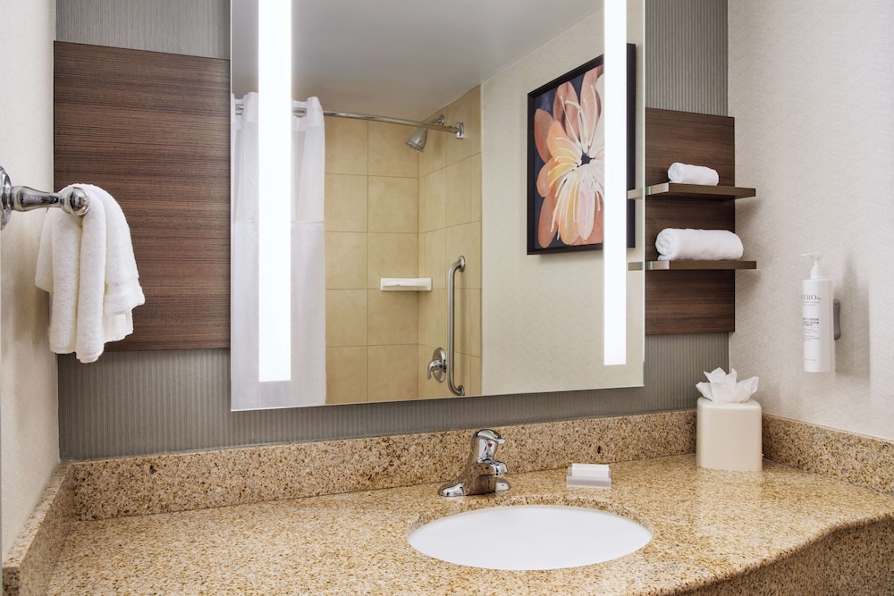 Hilton Garden Inn Schaumburg - photo 16