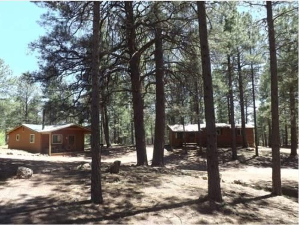 Arizona Mountain Inn and Cabins - photo 314