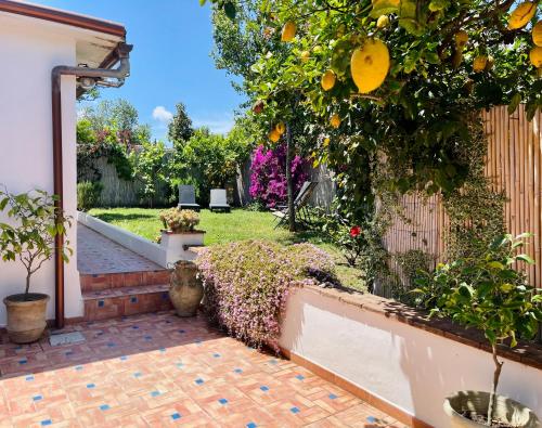 Profumo di Limoni Vacation Rental — 4-Star Luxury Hotel in Procida, Italy