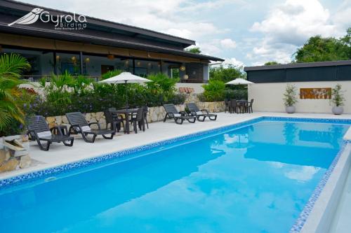 Gyrola Birding in La Mesa, Colombia