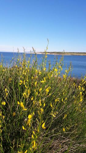 Apartman Branka in Liznjan, Croatia