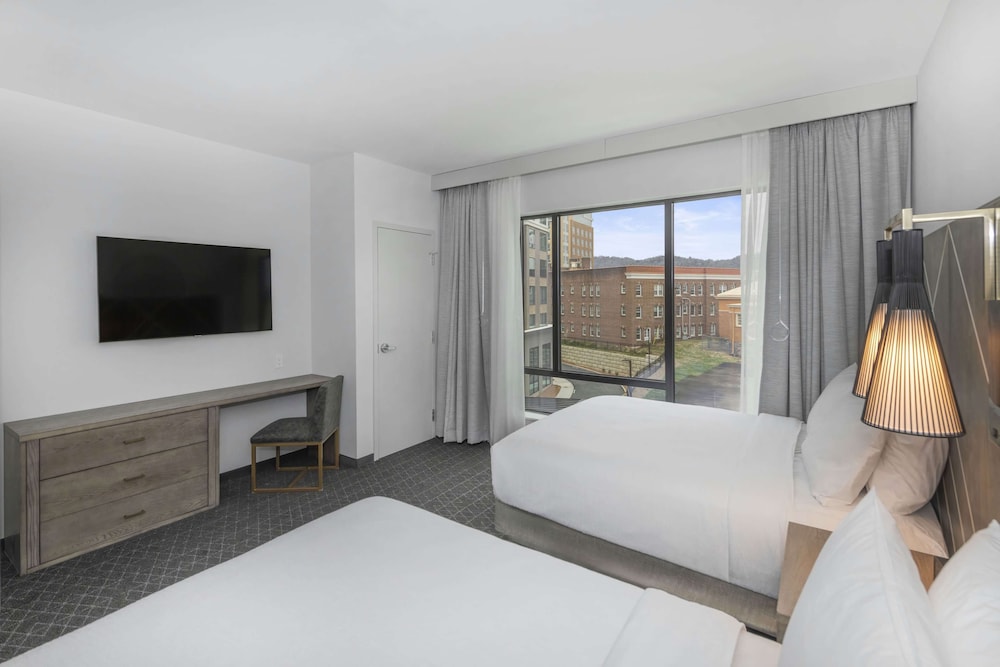 Embassy Suites By Hilton Asheville Downtown - photo 14