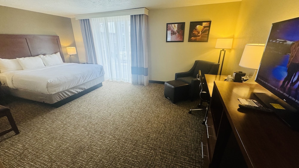 Comfort Inn Salt Lake City Downtown - photo 15