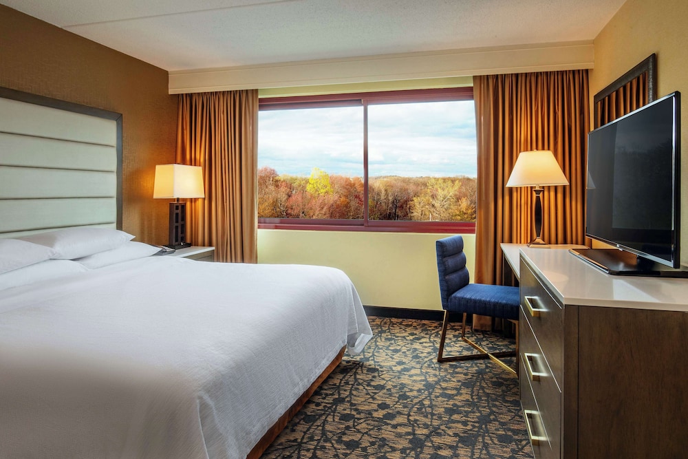 Embassy Suites by Hilton Boston Waltham - photo 23