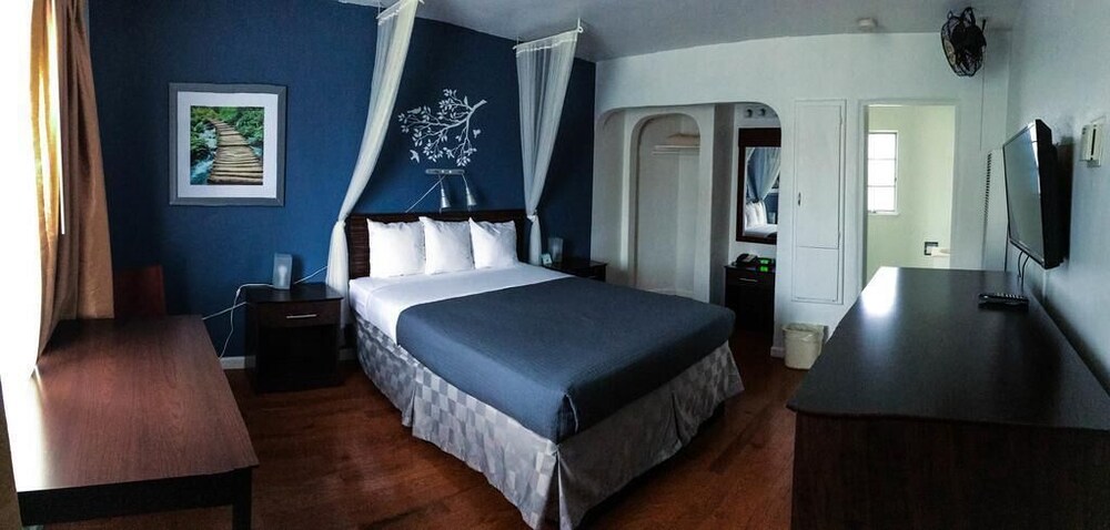 Golden Bear Hotel - photo 10