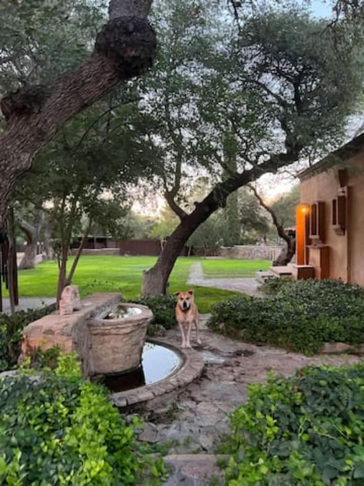 El Rancho Robles - photo 128