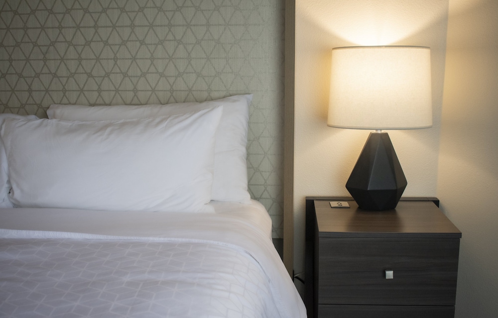 Holiday Inn Omaha Downtown Waterpark by IHG - photo 19