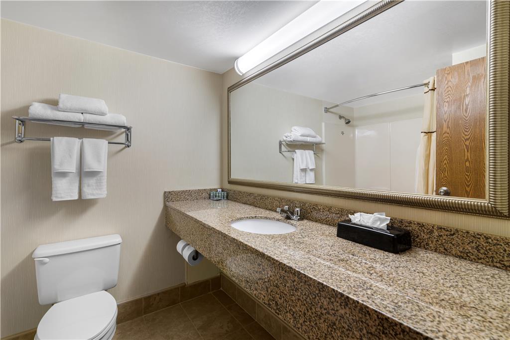 Best Western Royal Plaza Hotel & Trade Center - photo 65