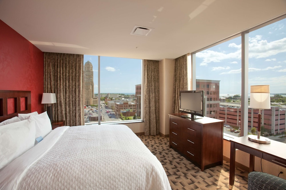 Embassy Suites Buffalo - photo 10