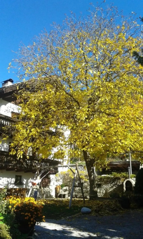 Huberhof - carbon neutral hotel in Bressanone