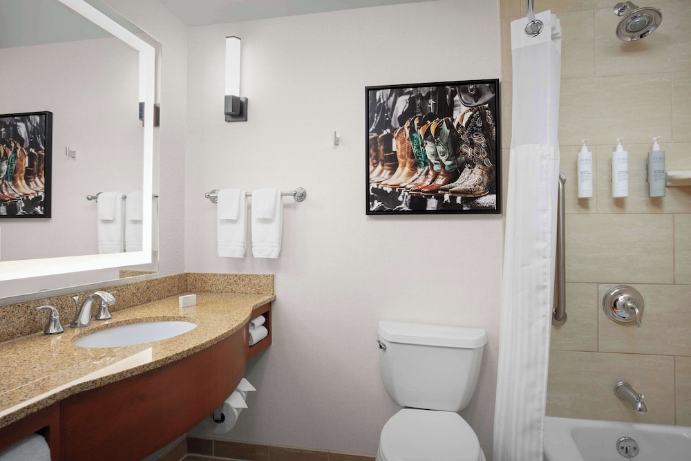 Hilton Garden Inn Fort Worth Medical Center - featured photo