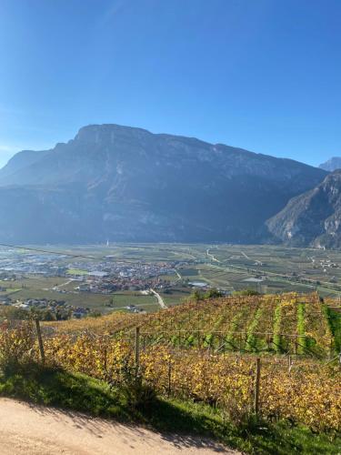 Agritur Chalet Belvedere — 4-Star Luxury Hotel in Lavis, Italy
