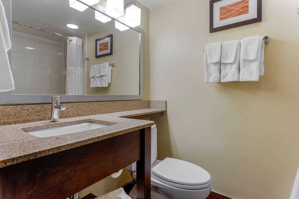 Comfort Inn Hammond I 94 - photo 29