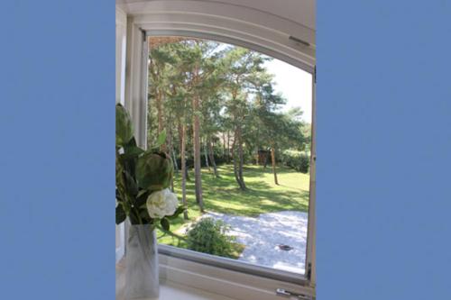 Strandhaus Strandhaus App 02 — 4-Star Luxury Hotel in Ostseebad Dierhagen, Germany