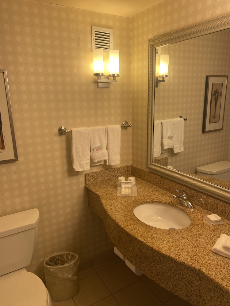 Hilton Garden Inn Palmdale - photo 14