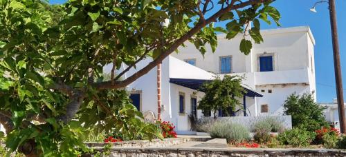 Drymonas Heights Kythira Traditional Volto — Kythira — photo 5