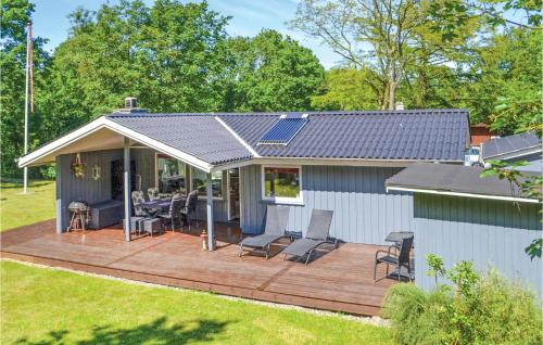 Svanen in Unknown City, Denmark