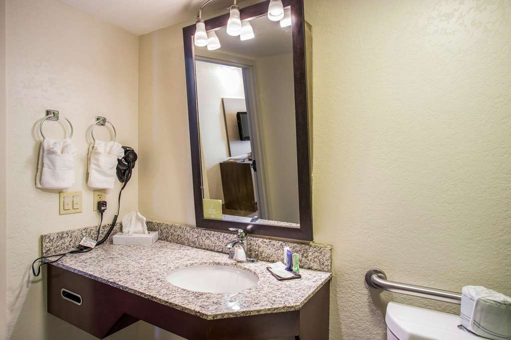 Quality Inn Kansas City International Airport - photo 18