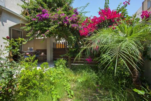 Olimpus Garden Homes