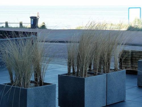 Benny's Beach House 1 — 4-Star Luxury Hotel in Zandvoort, Netherlands