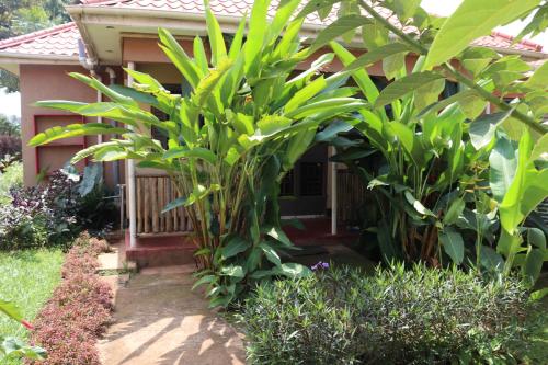 Henotes B And B 19611180 — Kamuli