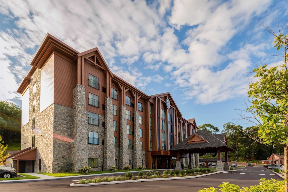 The Swiftwater - photo 91
