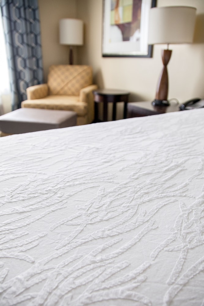 Hilton Garden Inn Fargo - photo 12