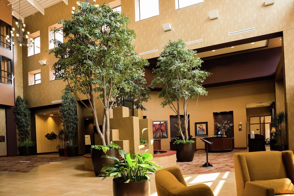 Embassy Suites by Hilton Minneapolis North - photo 4
