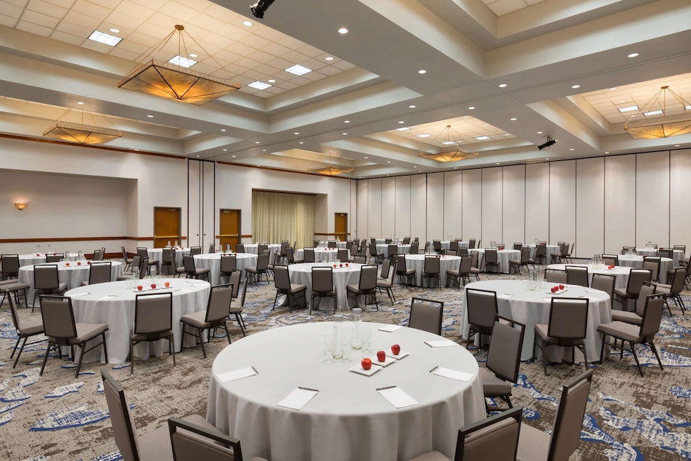 Embassy Suites by Hilton Dallas DFW Airport North - photo 66